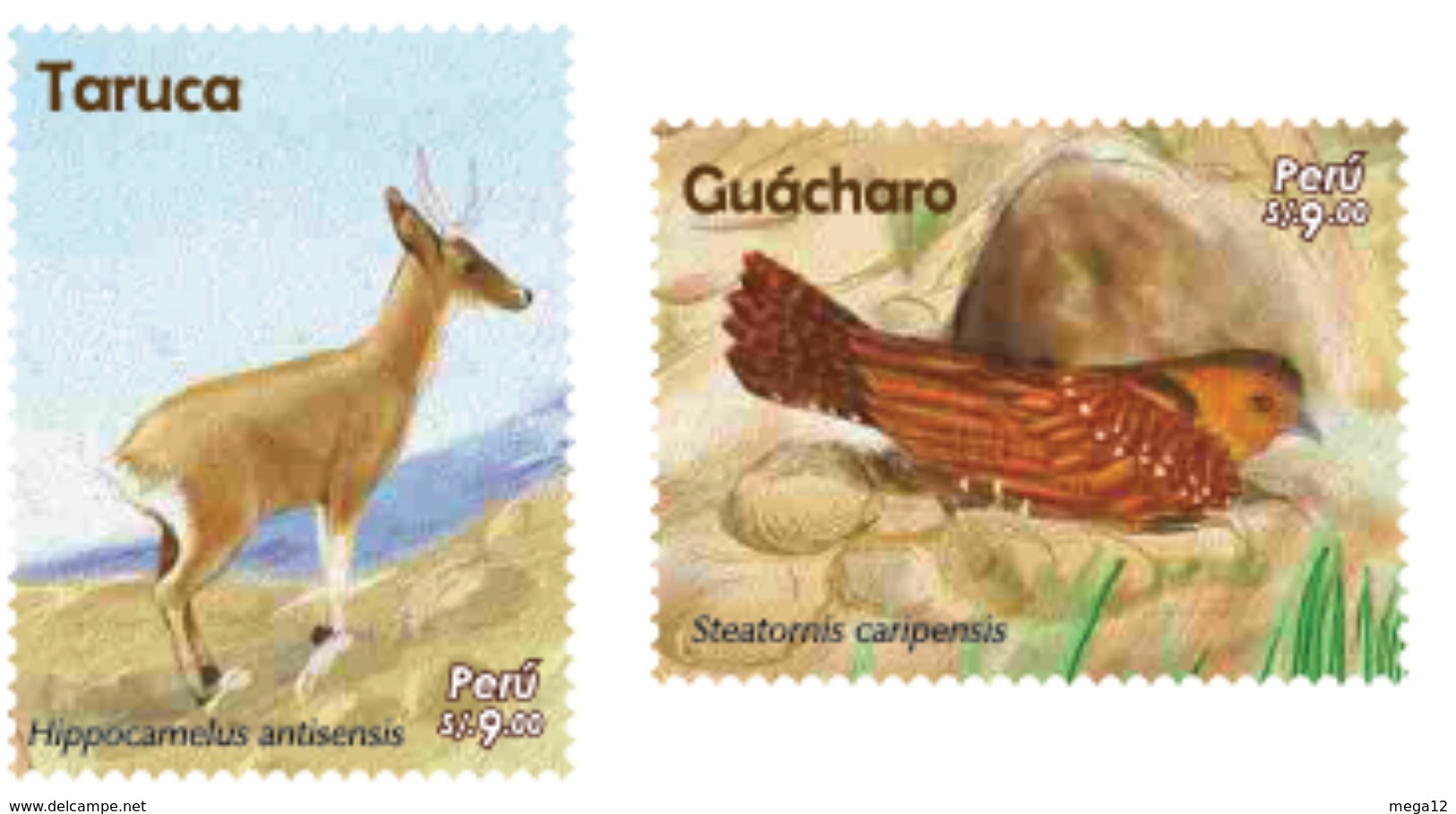 Peru 2018 Fauna Deer And Bird. - Other & Unclassified