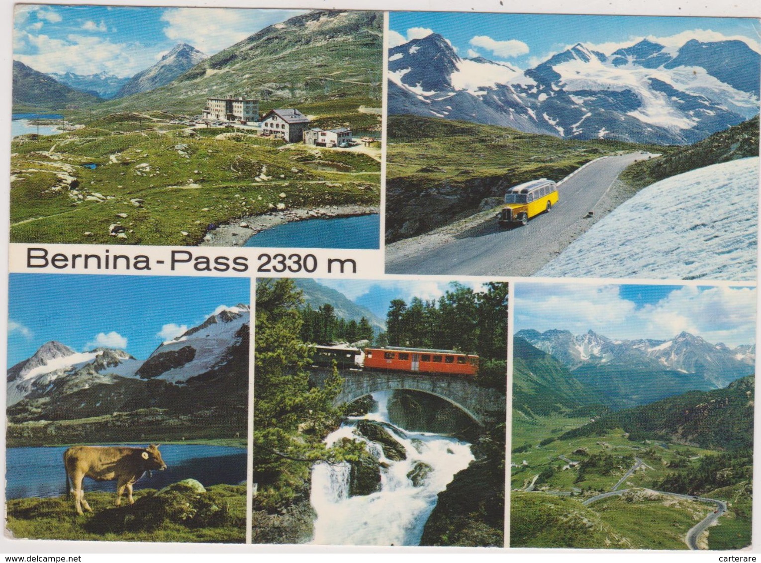 SUISSE,SHWEIZ,SVIZZERA,SWISS,BRUSIO,GRISONS,col Montagne,BERNINA PASSTRASSE,PASS,VACHE,PONT - Mon