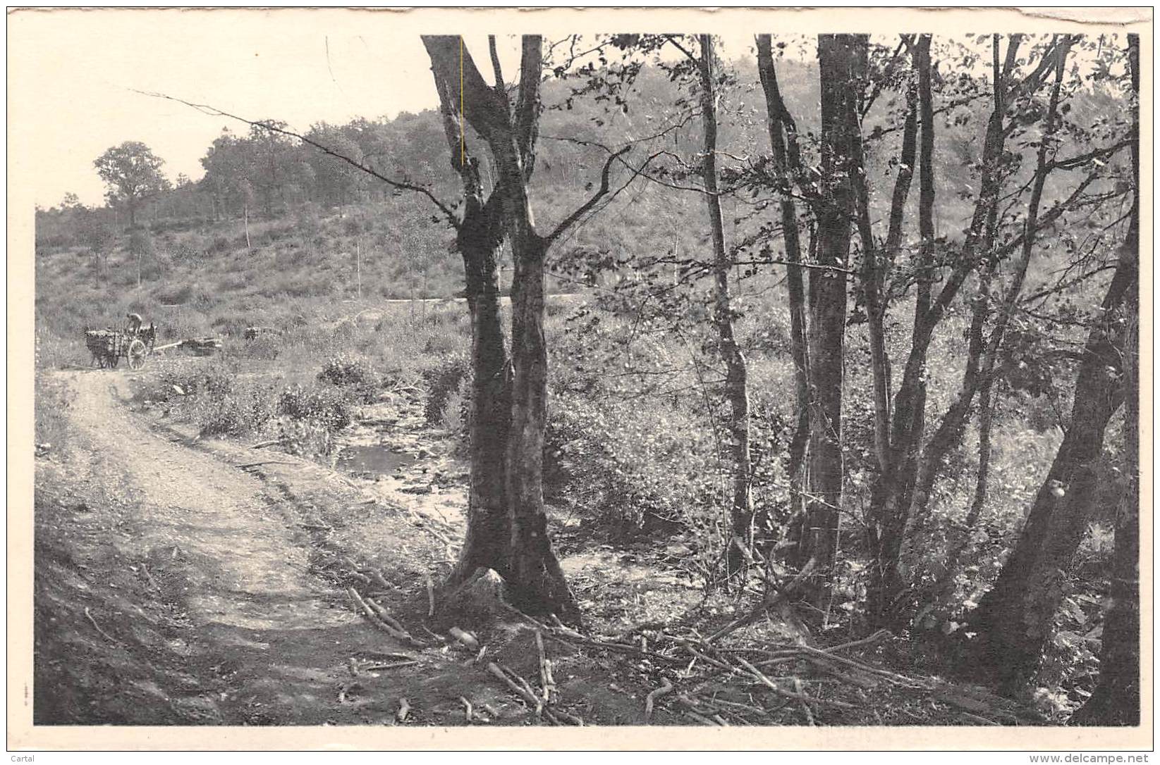 OIGNIES-en-THIERACHE - En Bordure De L'ALISSE Frontalière, La Route Stratégique Française. - Viroinval