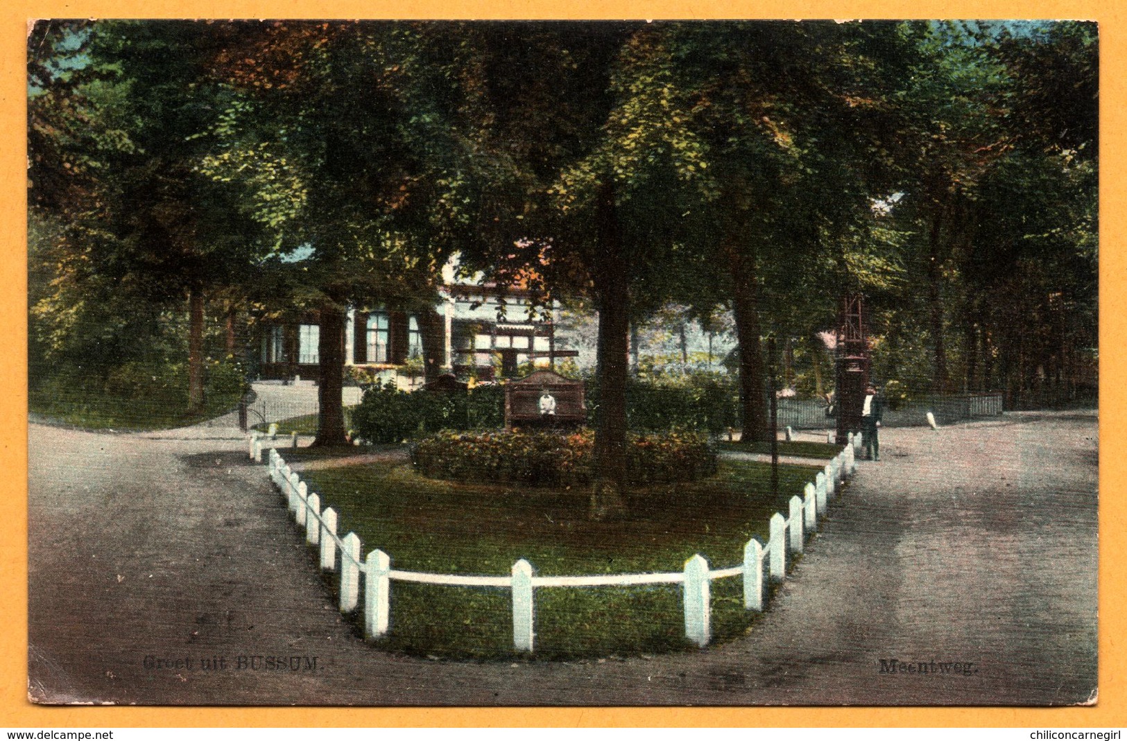 Bussum - Groet Uit Bussum - Meentweg - NAUTA - Glacée Et Colorisée - Bussum