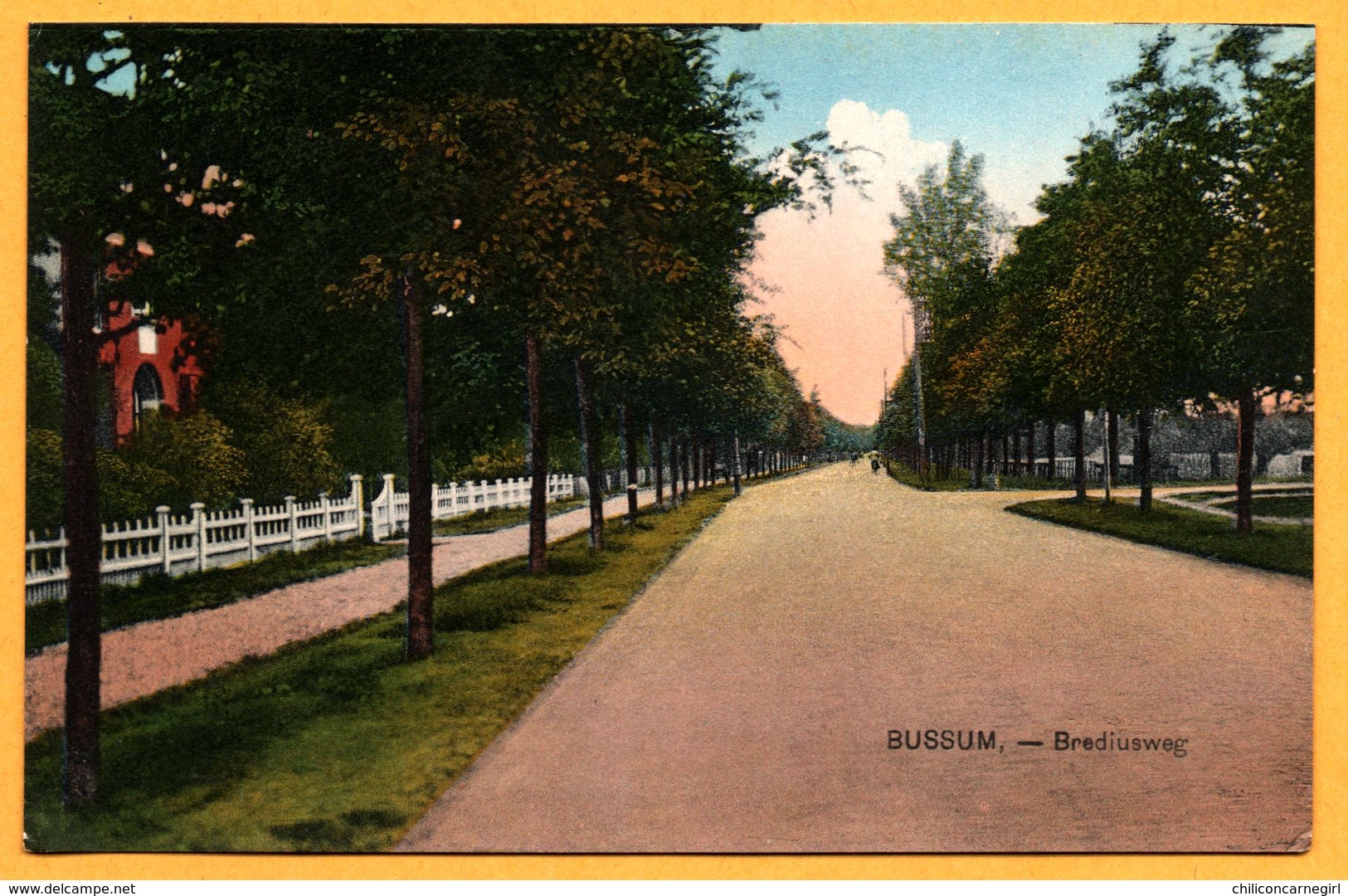 Bussum - Brediusweg - NAUTA - Colorisée - Bussum