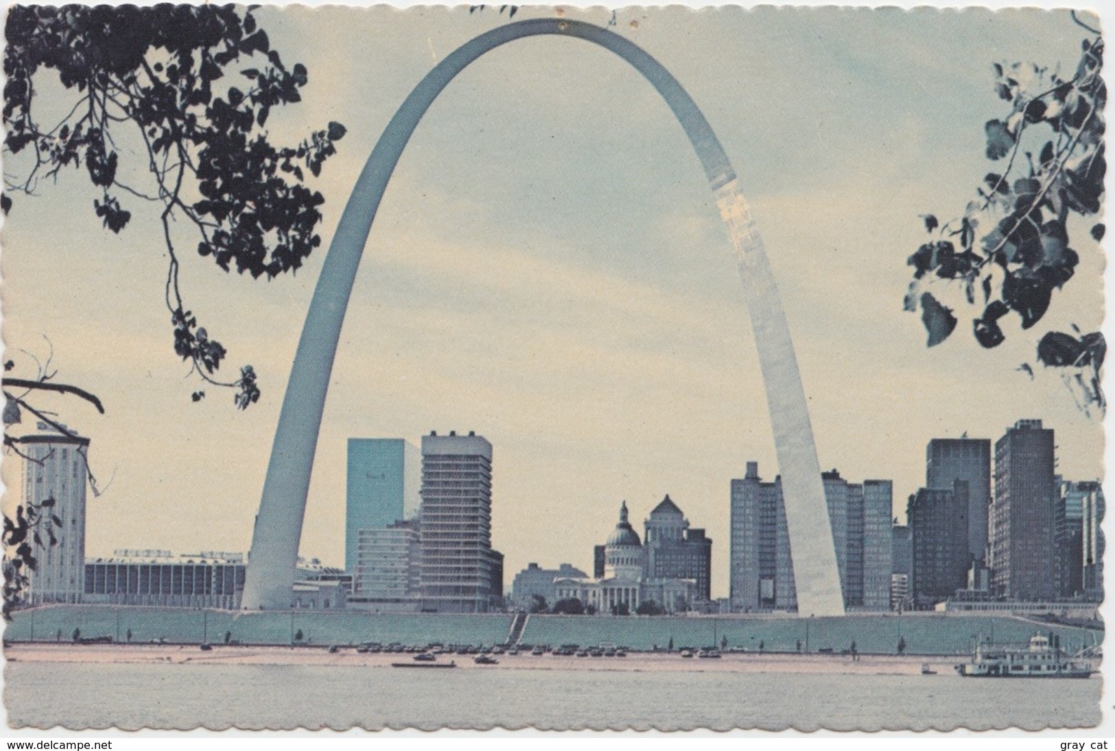 Gateway Arch & Downtown St. Louis Skyline, Unused Postcard [20809] - St Louis – Missouri