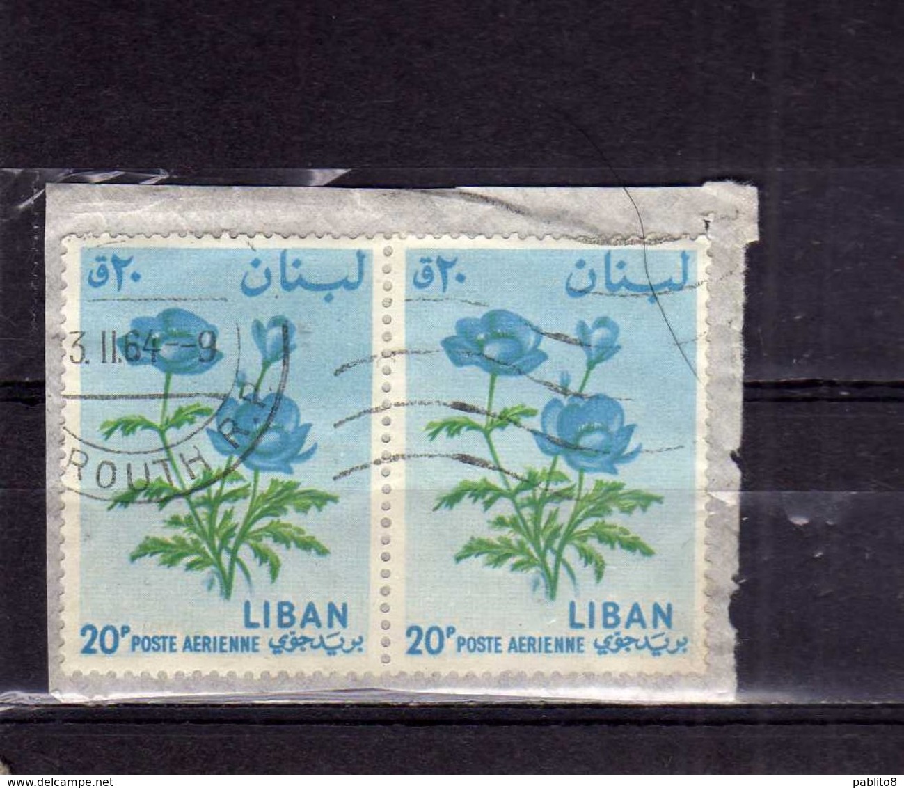 LIBANO LEBANON LIBAN 1964 AIR MAIL POSTA AEREA AERIENNE FLORA FLOWERS FLEURS FIORI ANEMONE 20p USATO USED OBLITERE' - Lebanon