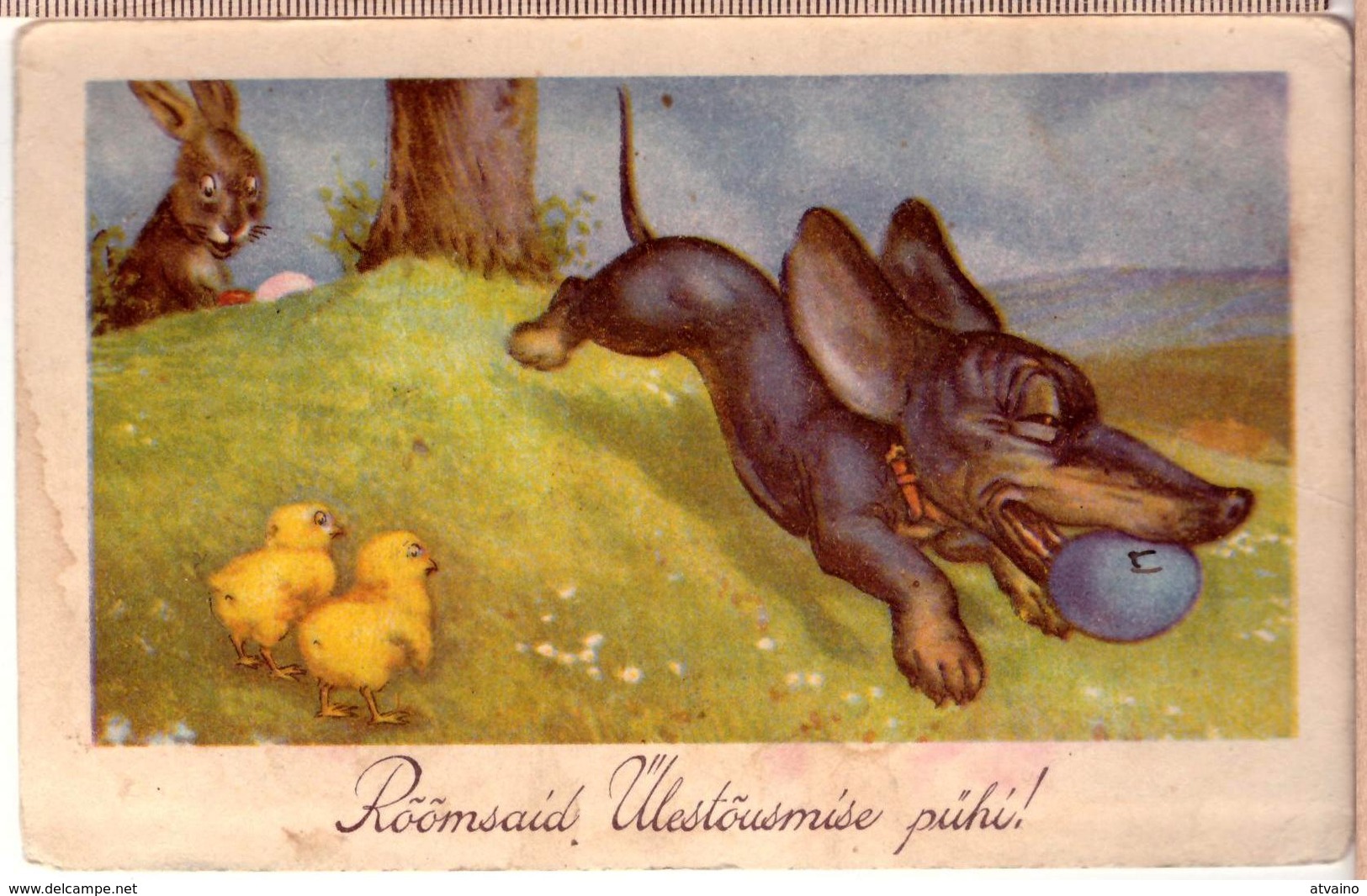 Dachshund Puppy And Chick. ~ 1935 Printed In Estonia POSTCARD - Chiens