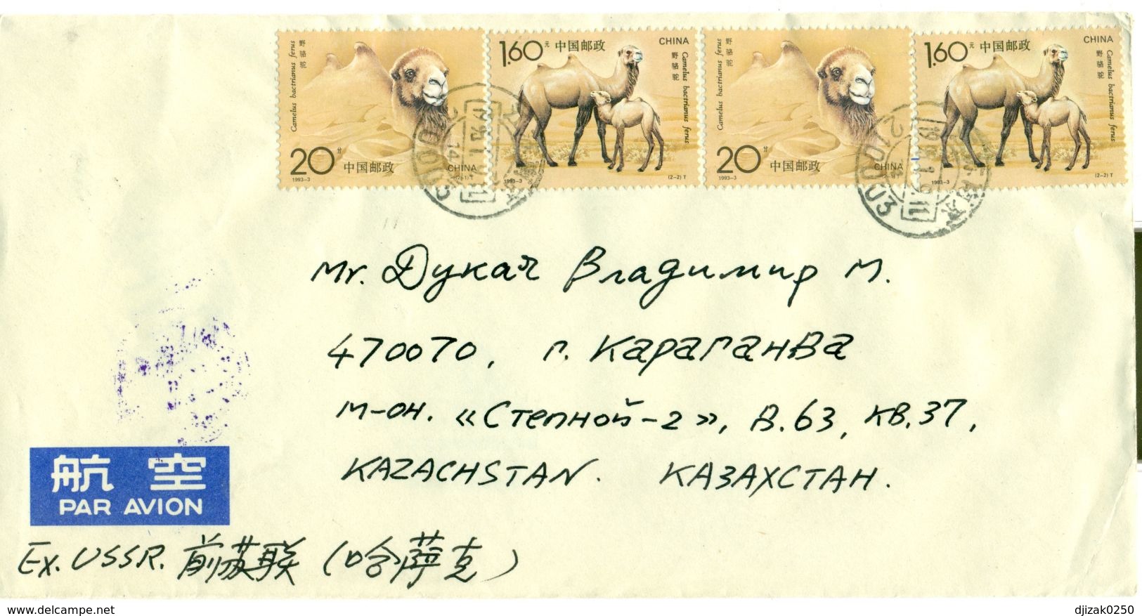 China 1993.Envelope Passed The Mail. Camel. Two Sets. - Covers & Documents