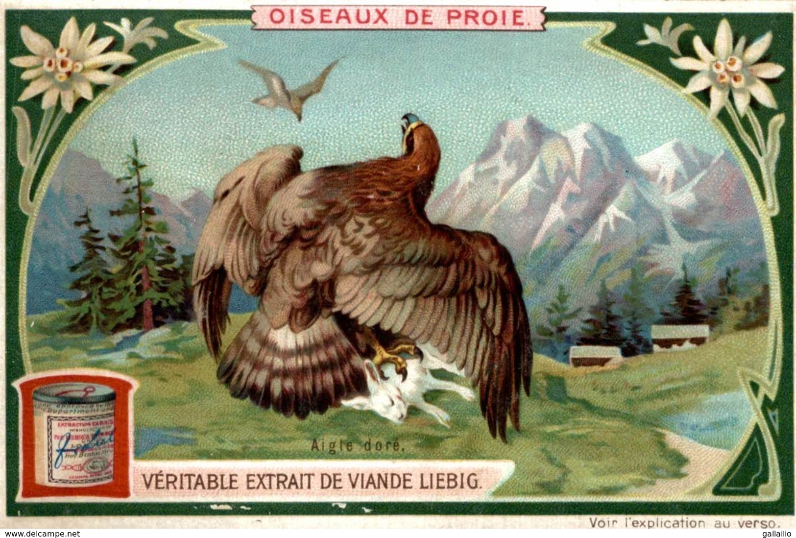 CHROMO LIEBIG OISEAUX DE PROIE AIGLE DORE - Liebig