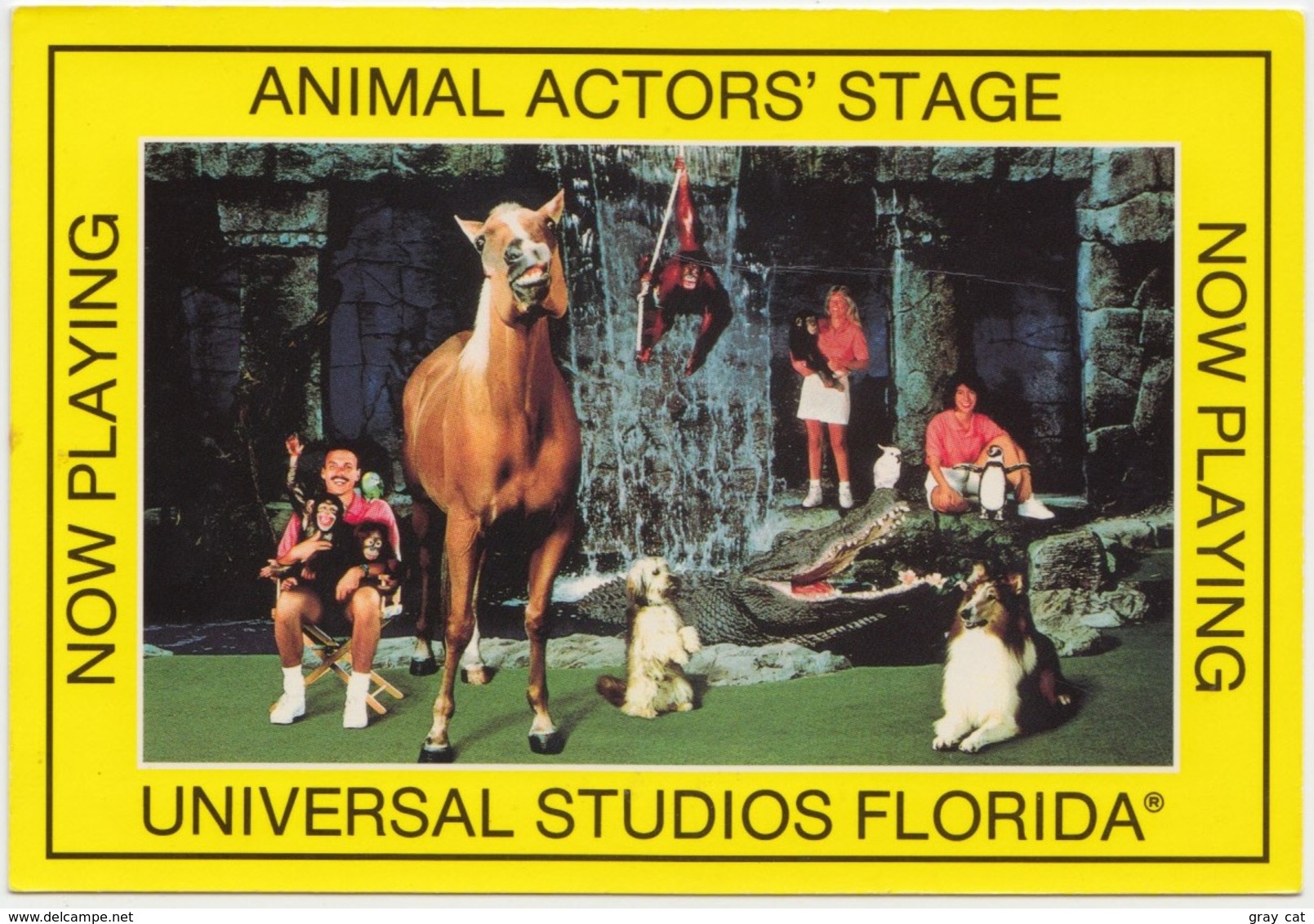 ANIMAL ACTORS' STAGE, UNIVERSAL STUDIOS, FLORIDA, Unused Postcard [20818] - Other & Unclassified