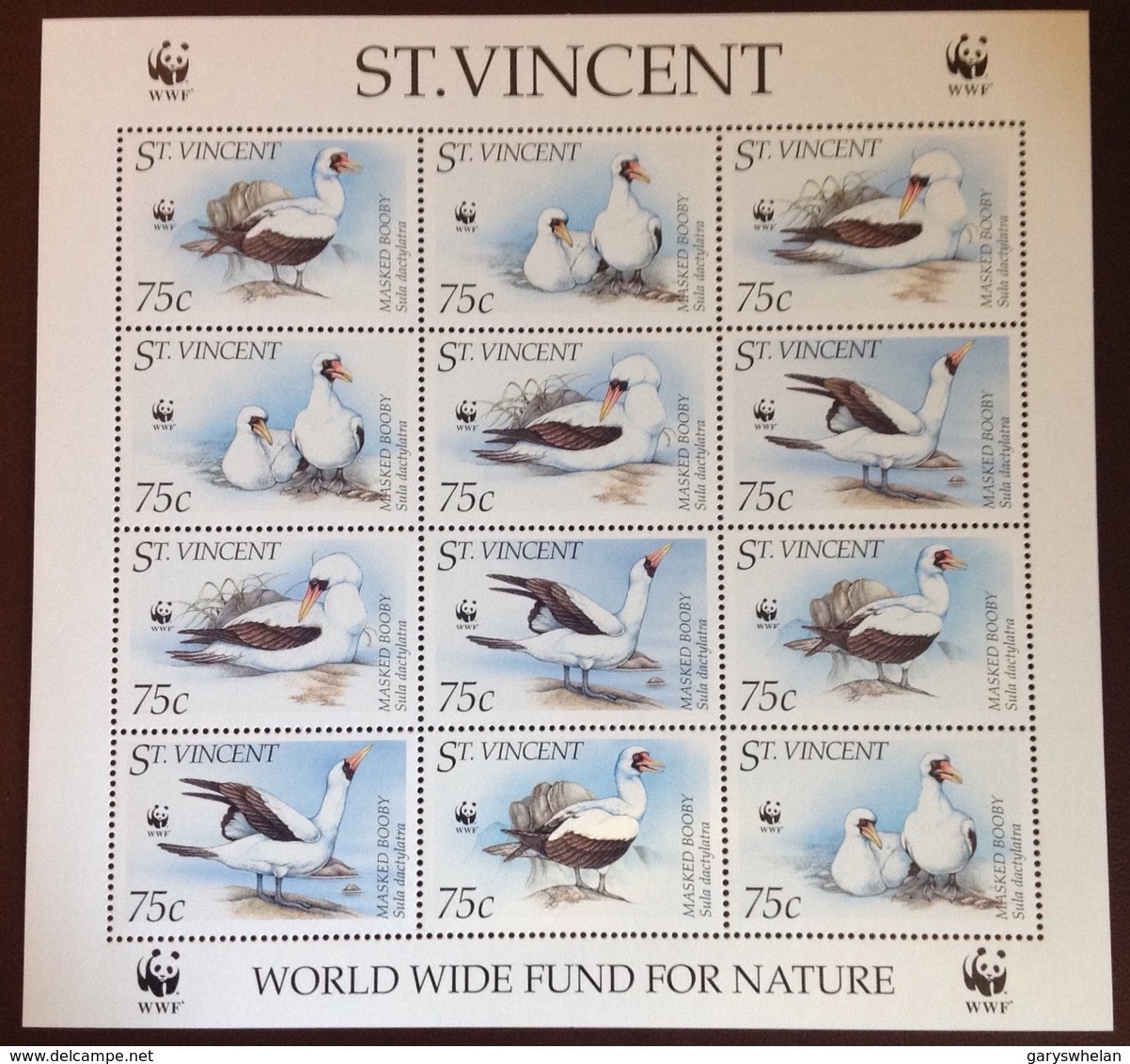 St Vincent 1995 WWF Birds Sheetlet MNH - Sonstige & Ohne Zuordnung