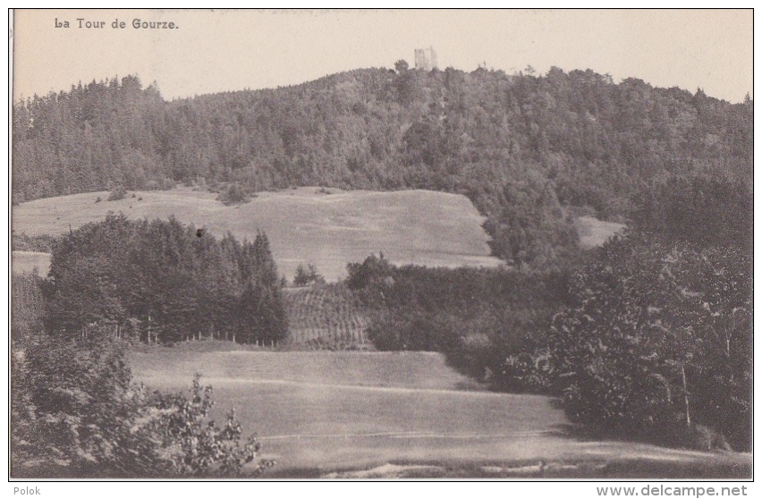 Bm - Cpa La Tour De Gourze (Savigny (Vaud)) - Savigny