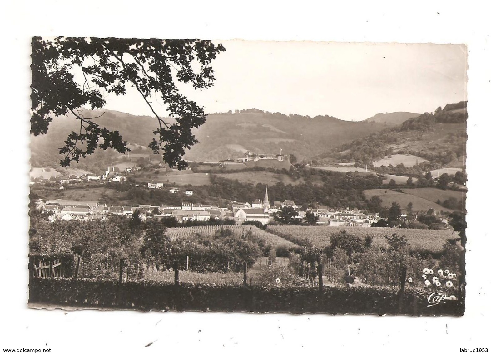 Mauleon-Vue Panoramique-(C.2972) - Mauleon Barousse