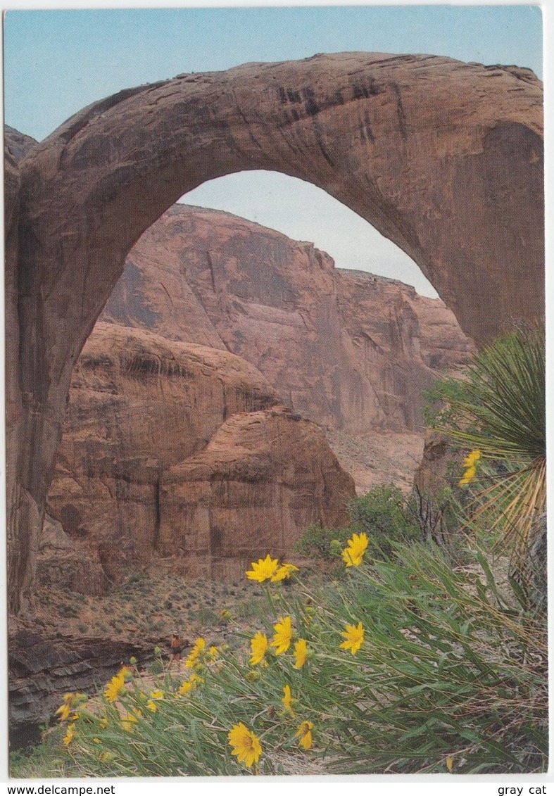 Rainbow Bridge National Monument, Utah, Unused Postcard [20826] - Other & Unclassified