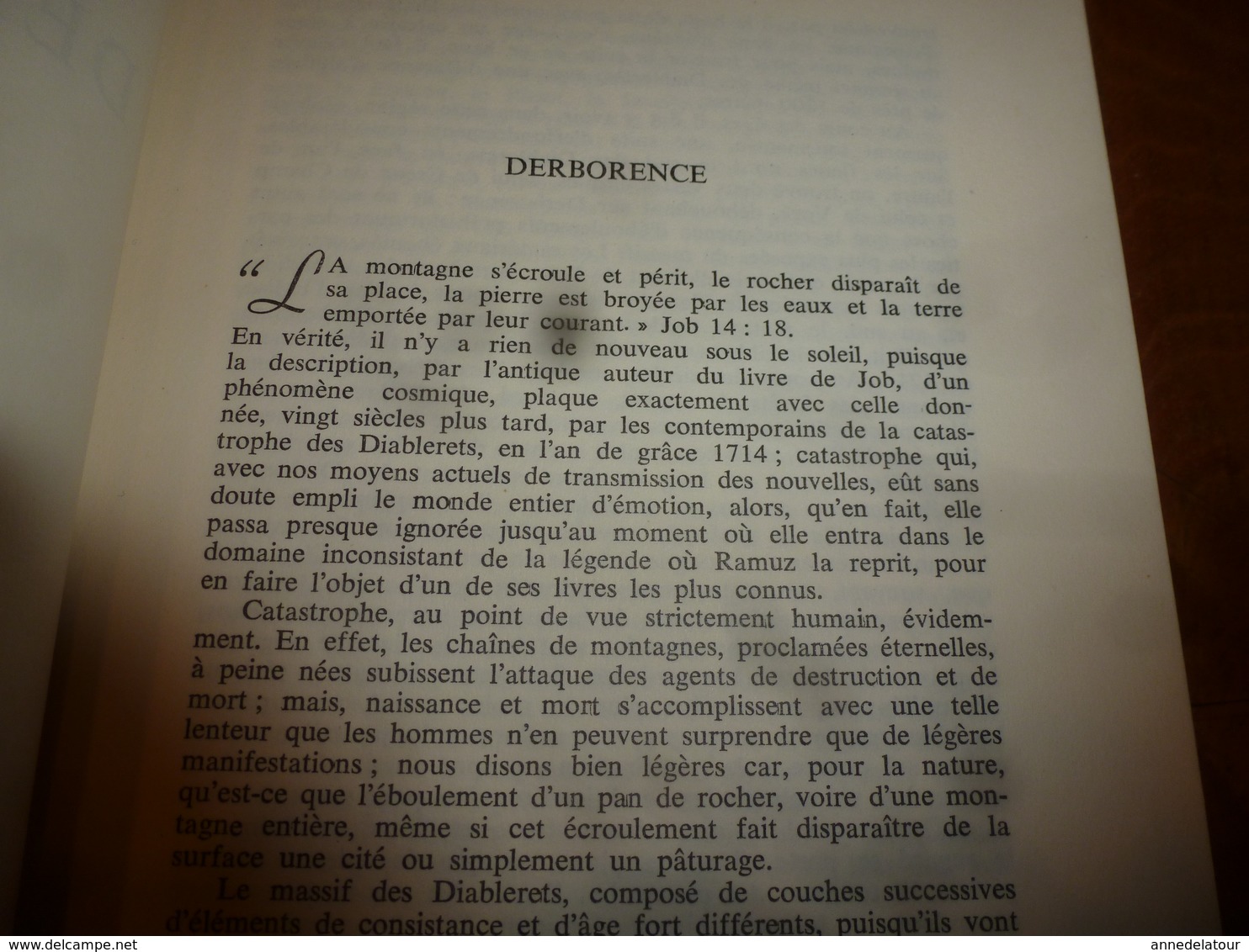 DERBORENCE  Histoire D'une Catastrophe (limite Des Etats De Berne Et Du Valais)  SUISSE (Photos A. Lévy, Etc) - Otros & Sin Clasificación