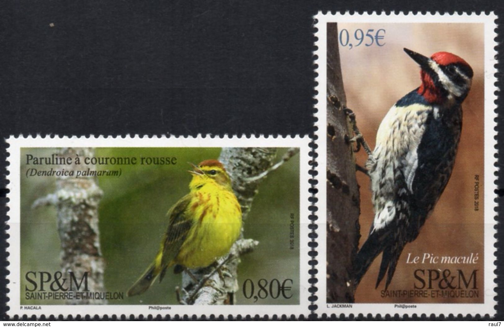 St Pierre & Miquelon 2018 - Oiseaux Paruline à Couronne Rousse, Le Pic Maculé - 2 Val Neufs // Mnh - Unused Stamps