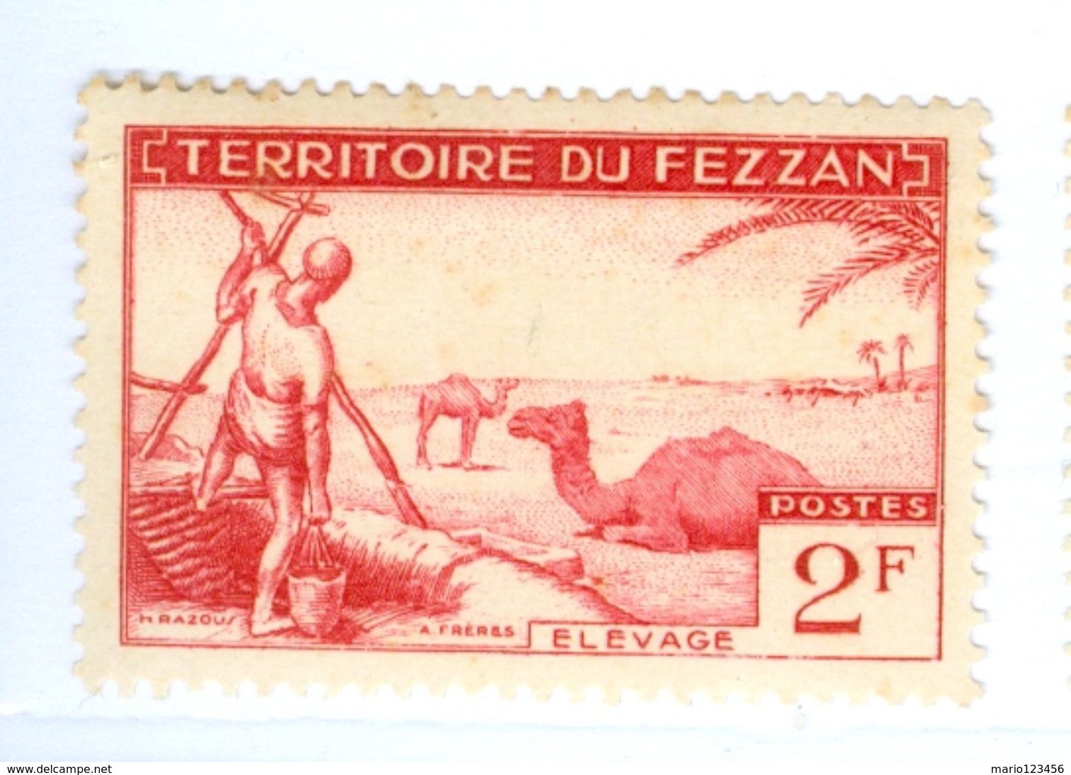 ITALIA, ITALY, FEZZAN, OCCUPAZIONE FRANCESE, 1951, FRANCOBOLLO NUOVO (MLH*) 2 F.   Sass. 31 - Fezzan & Ghadames