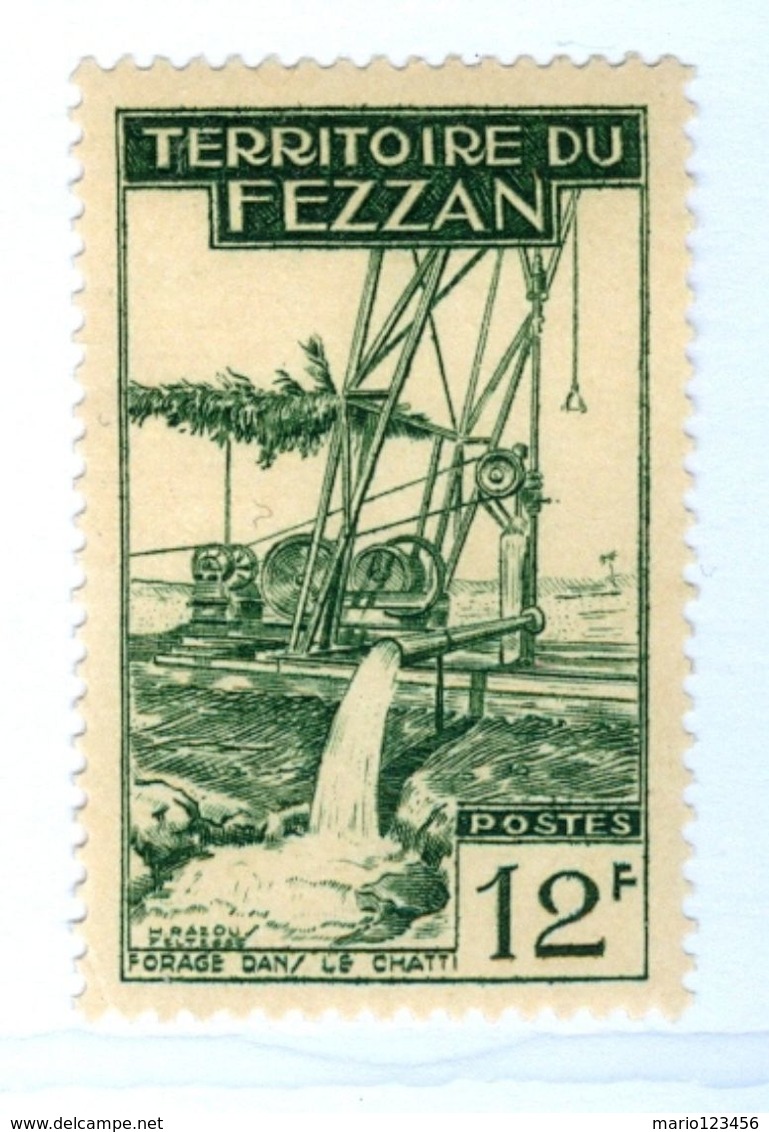 ITALIA, ITALY, FEZZAN, OCCUPAZIONE FRANCESE, 1951, FRANCOBOLLO NUOVO (MLH*) 12 F.   Sass. 36 - Fezzan & Ghadames