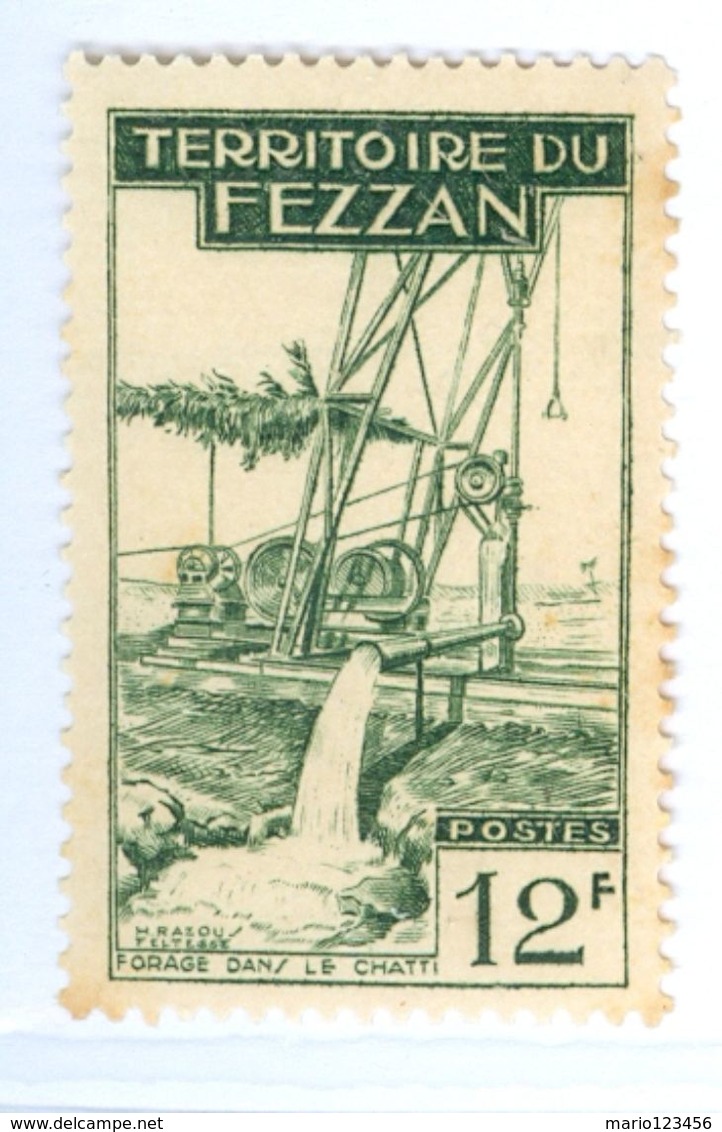 ITALIA, ITALY, FEZZAN, OCCUPAZIONE FRANCESE, 1951, FRANCOBOLLO NUOVO (MLH*) 12 F.   Sass. 36 - Fezzan & Ghadames