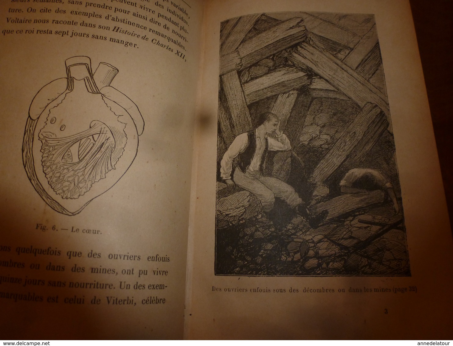 1898 LA VIE HUMAINE (édit. originale) par Dr Nemo : Homme-chien ,Pour vivre longtemps, Poisons humains ,Morphine ; etc,