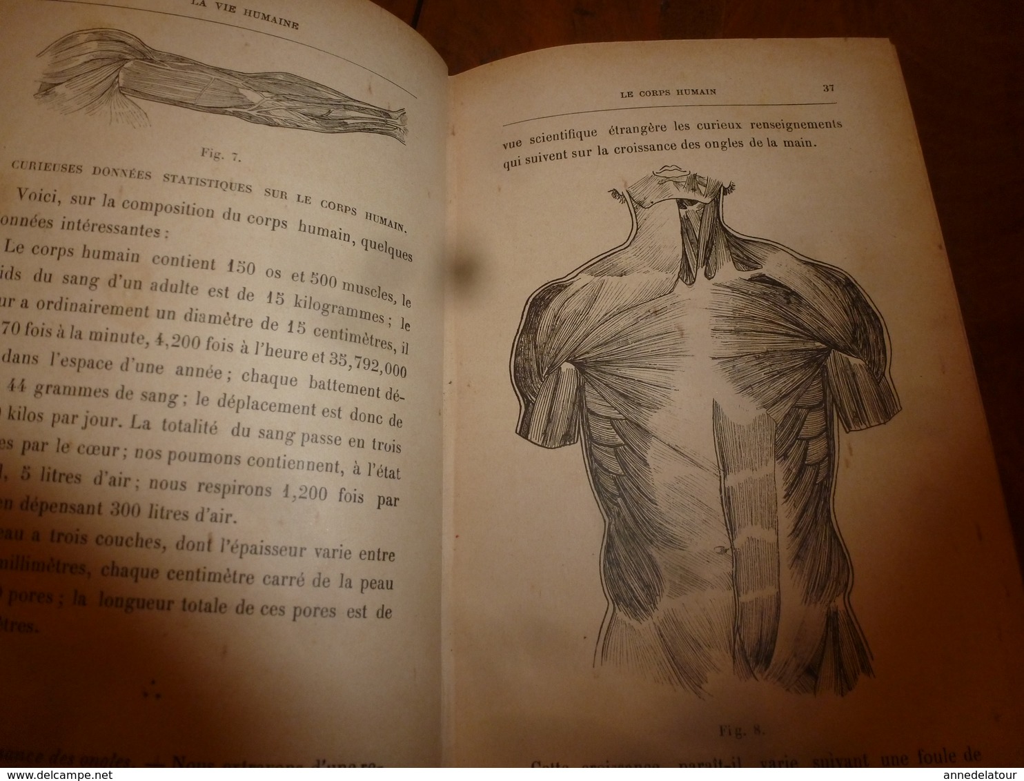 1898 LA VIE HUMAINE (édit. originale) par Dr Nemo : Homme-chien ,Pour vivre longtemps, Poisons humains ,Morphine ; etc,
