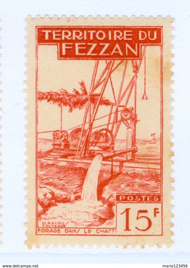 ITALIA, ITALY, FEZZAN, OCCUPAZIONE FRANCESE, 1951, FRANCOBOLLO NUOVO (MLH*) 15 F.   Sass. 37 - Fezzan & Ghadames