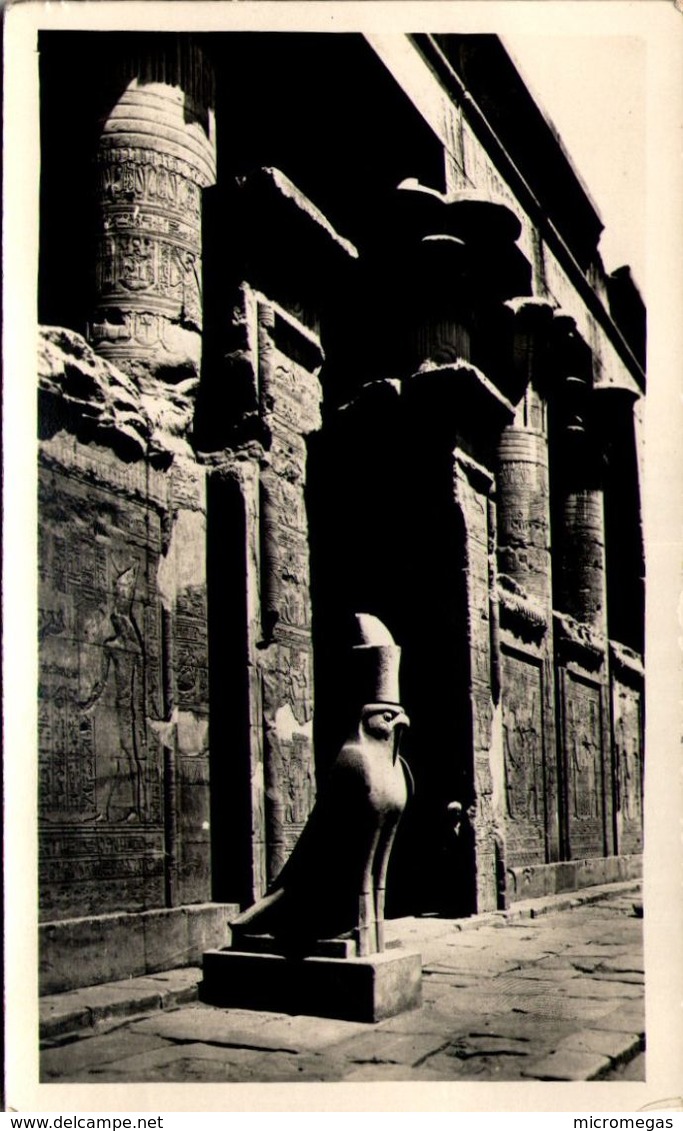 LEDFU - Sacred Hawk Of Horus And The Hall Of The Temple - Edfou