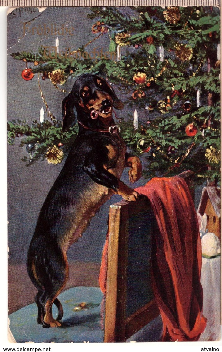 Naughty Dachshund - 1908 T.S.N. POSTCARD - Chiens