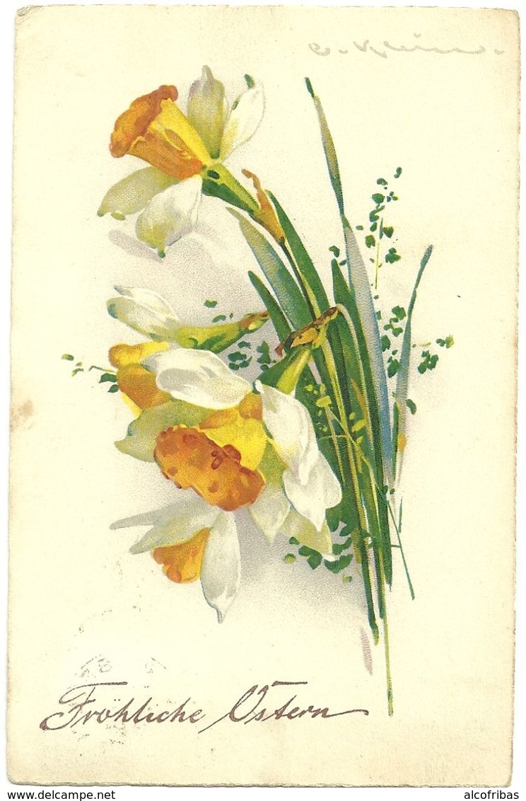 Klein Catharina Illustrateur Fleurs Lot 3 Cartes  Tulipes Jonquilles Mures 1114 1181 319 - Klein, Catharina