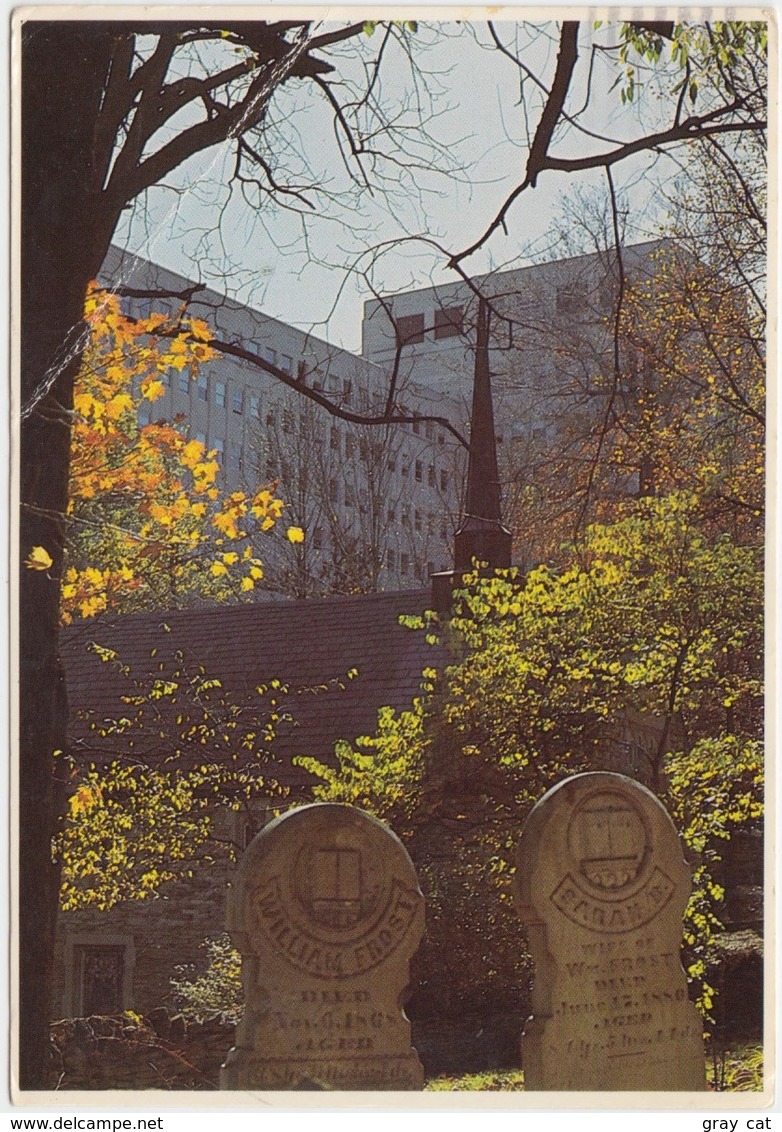 Indiana University, Bloomington, Old Tombstones, 1984 Used Postcard [20835] - Bloomington