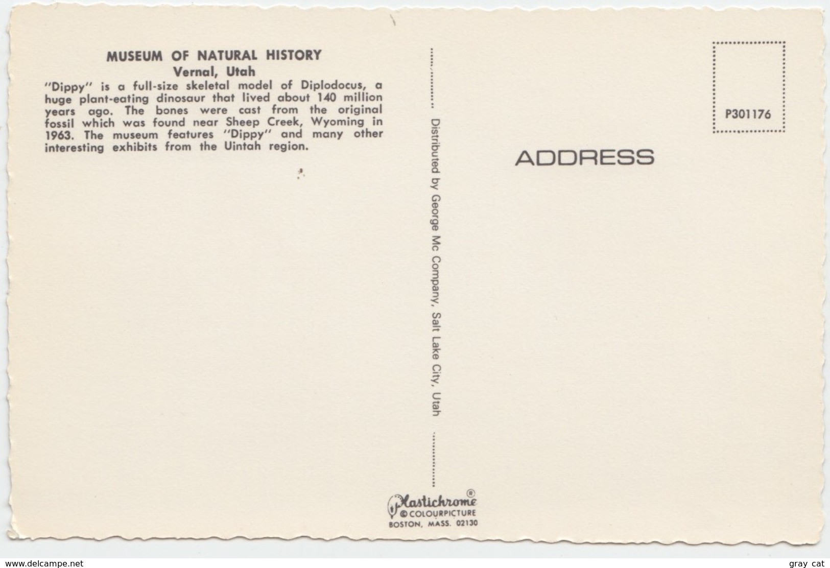 "Dippy" Diplodocus Dinosaur, Museum Of Natural History, Vernal, Utah, Unused Postcard [20843] - Other & Unclassified