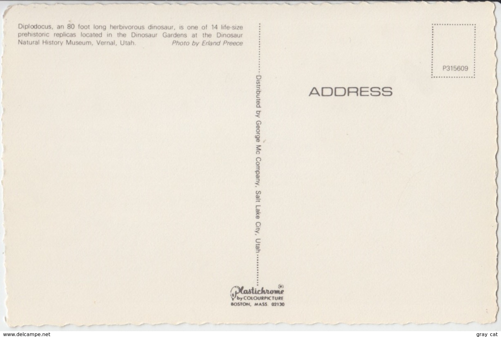 Diplodocus, Dinosaur Gardens, Vernal, Utah, Unused Postcard [20844] - Other & Unclassified