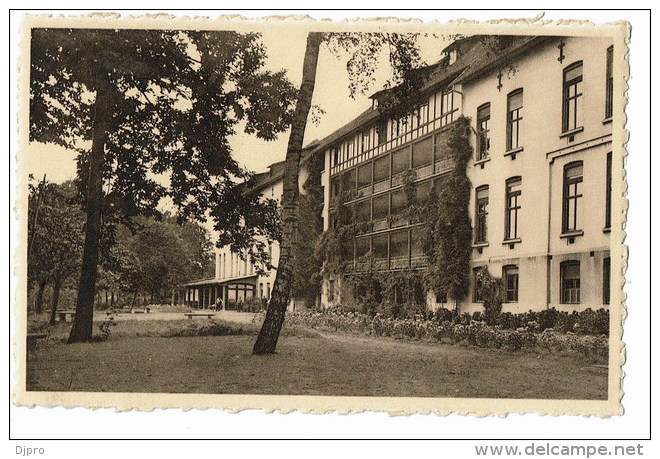 Buizingen  Sanatoruim Rose De La Reine   Cote Sud - Halle