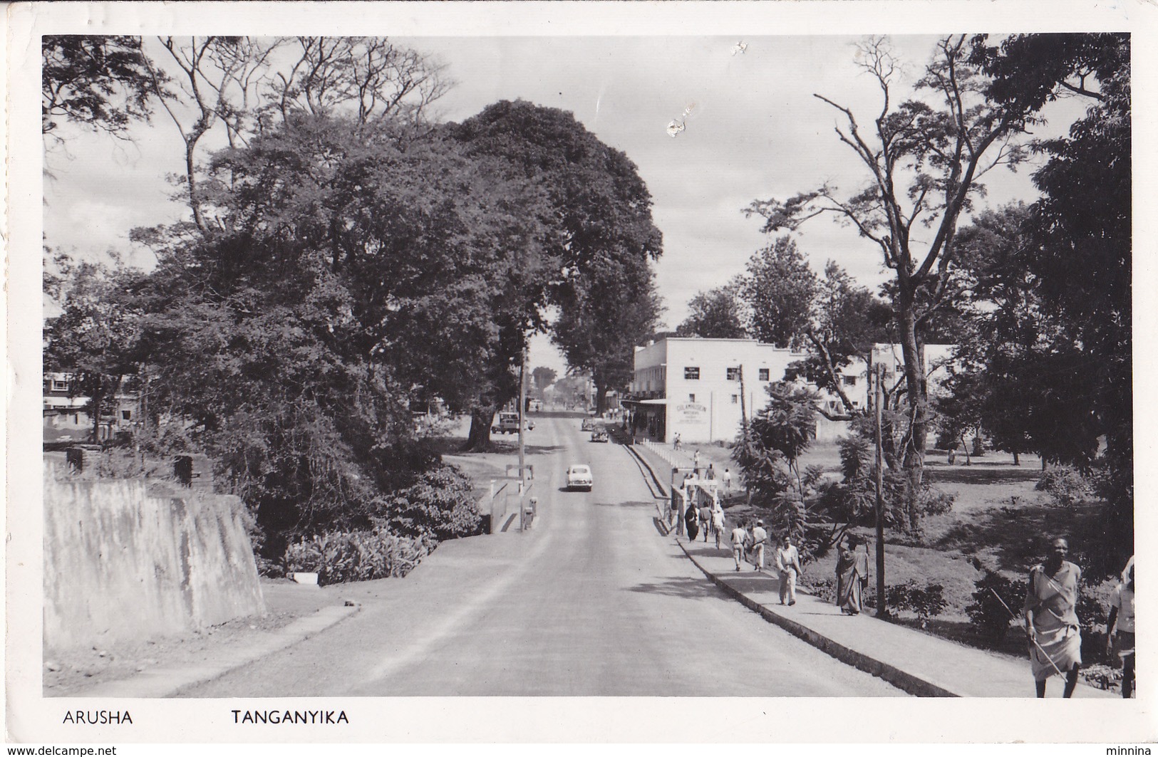 Arusha - Tanganyika - Animata - Tanzania