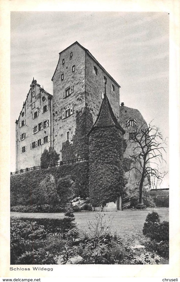 Wildegg Schloss - Wildegg