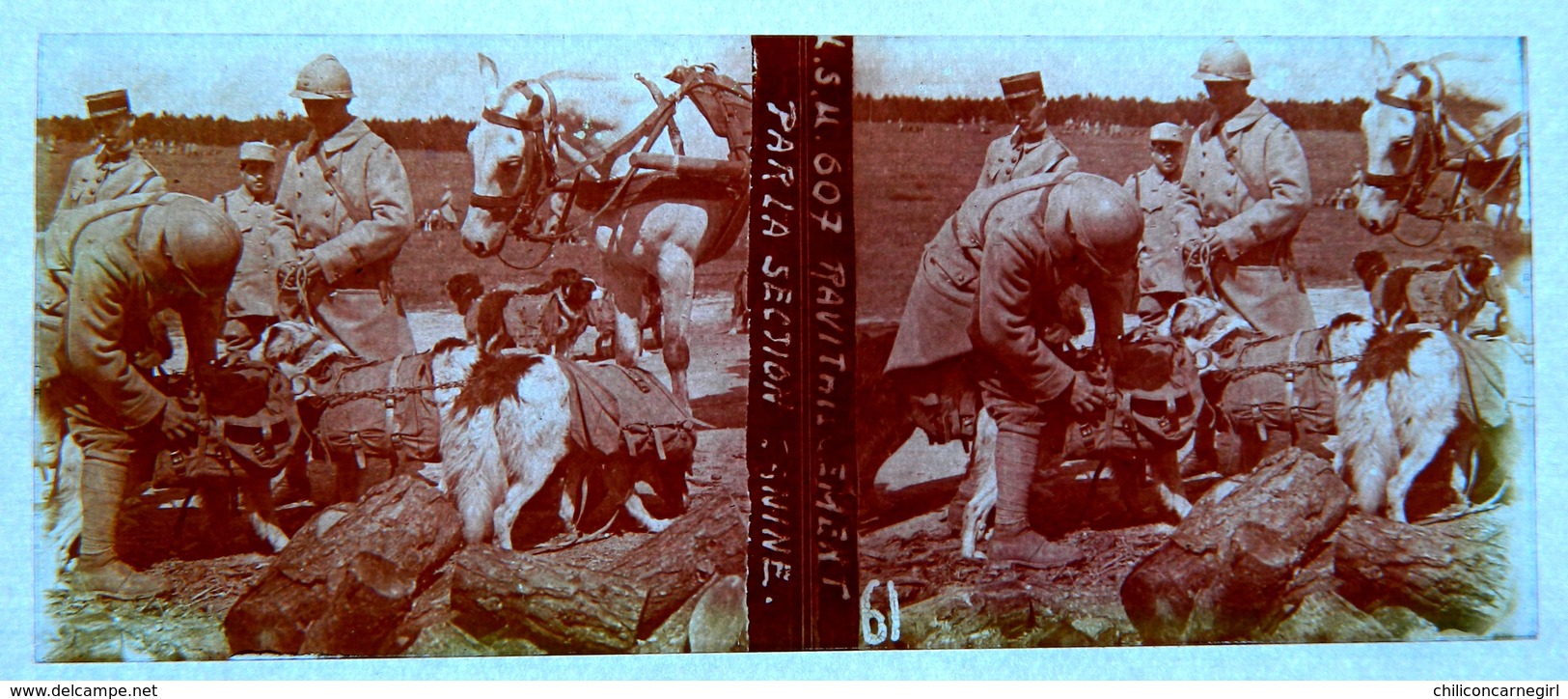 PHOTO STEREO SUR PLAQUE DE VERRE - RAVITAILLEMENT PAR LA SECTION CANINE - ANIMEE - CHIENS - CHEVAUX - 10,6 X 4,4 Cm - Stereoscopic