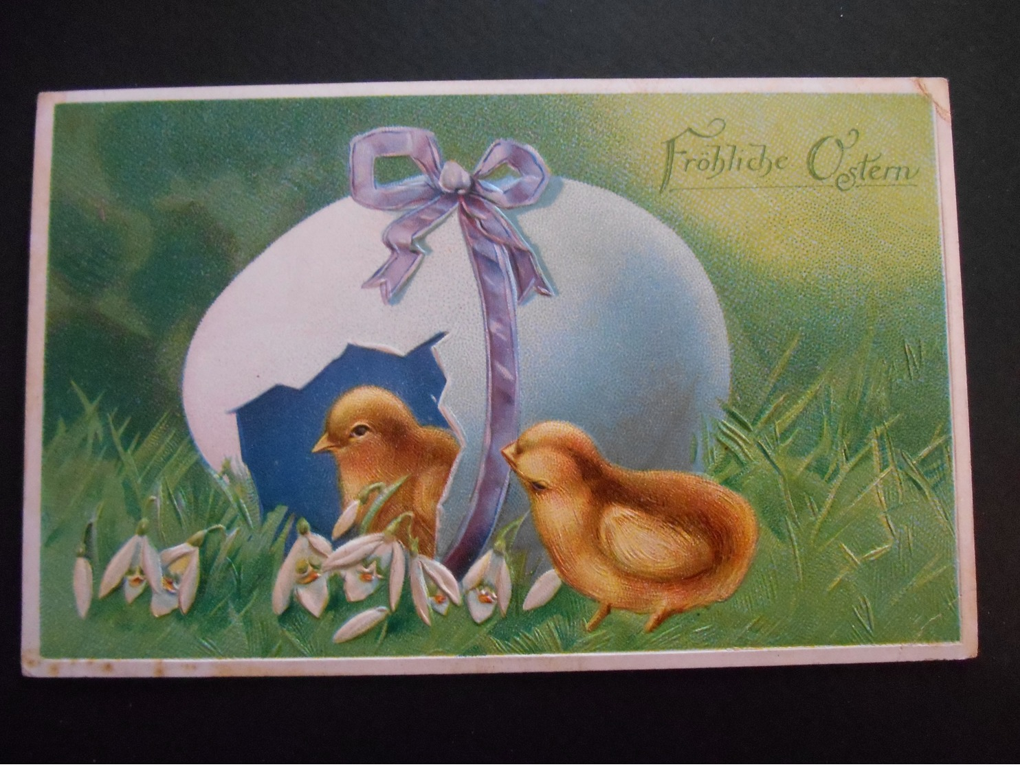 Pâques - Poussins Sortant D'un Oeuf Avec Ruban Mauve Dans L'herbe, Perce-neiges - Fröhliche Ostern - Gaufrée - N° 378 - Pâques