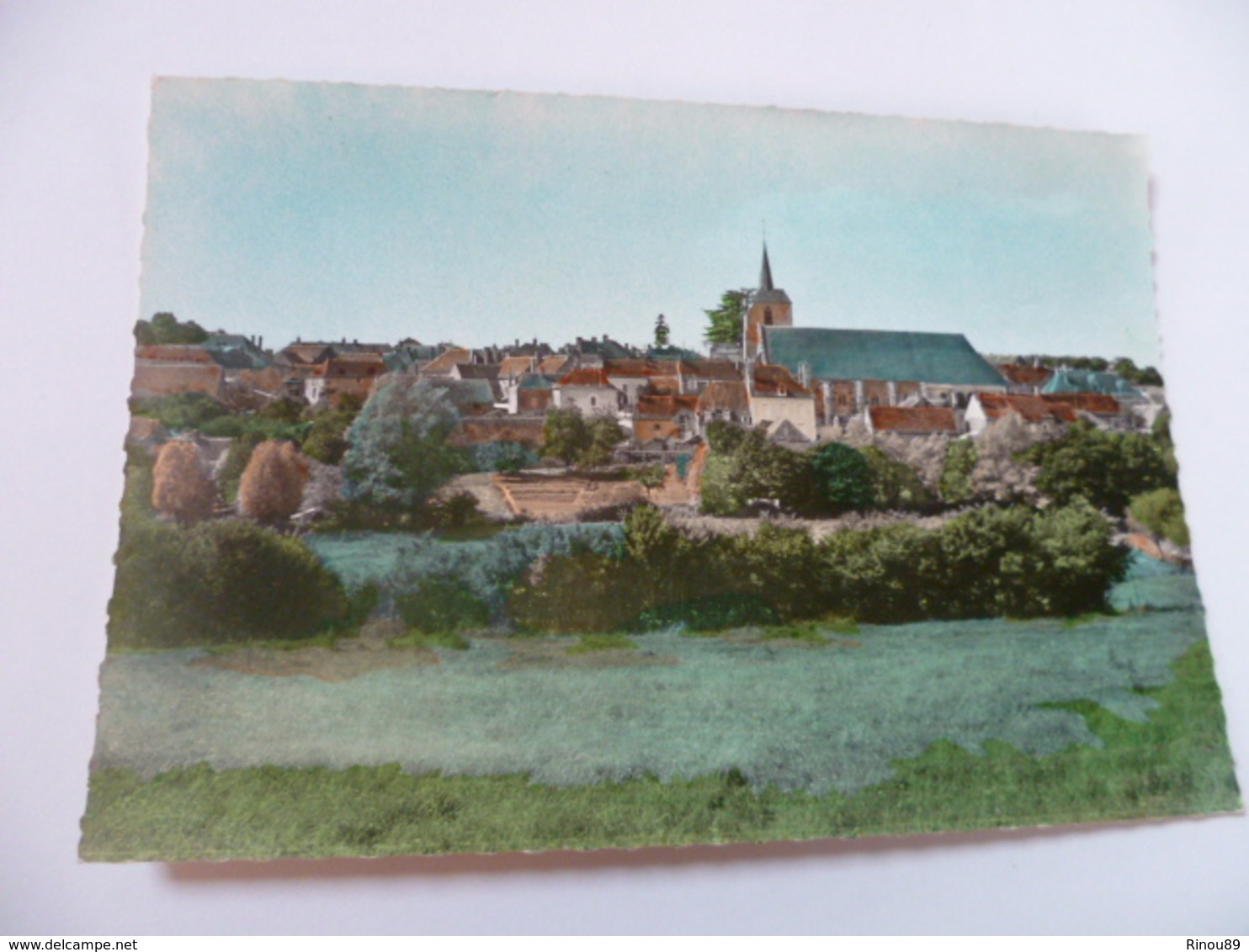 89- YONNE- TREIGNY - Vue Générale - Treigny