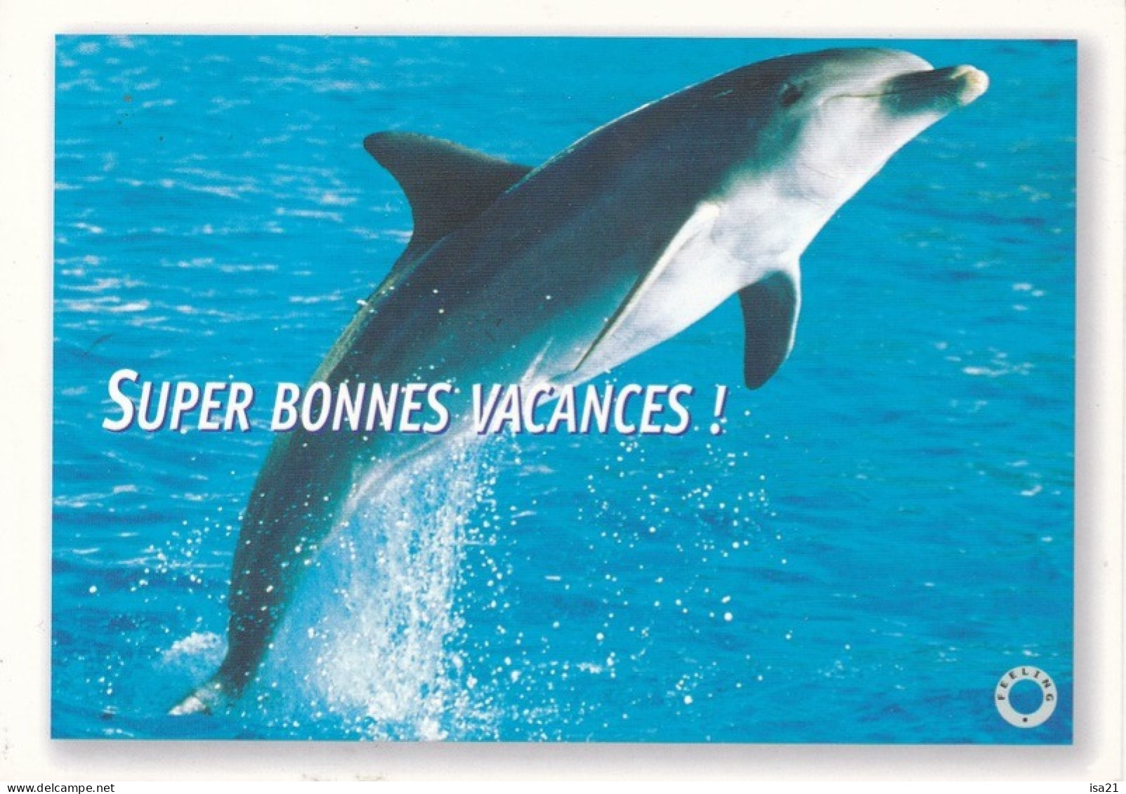 Lot De 8 Cartes Postales Sur Les Dauphins. Voir Les Scans. - Dolfijnen