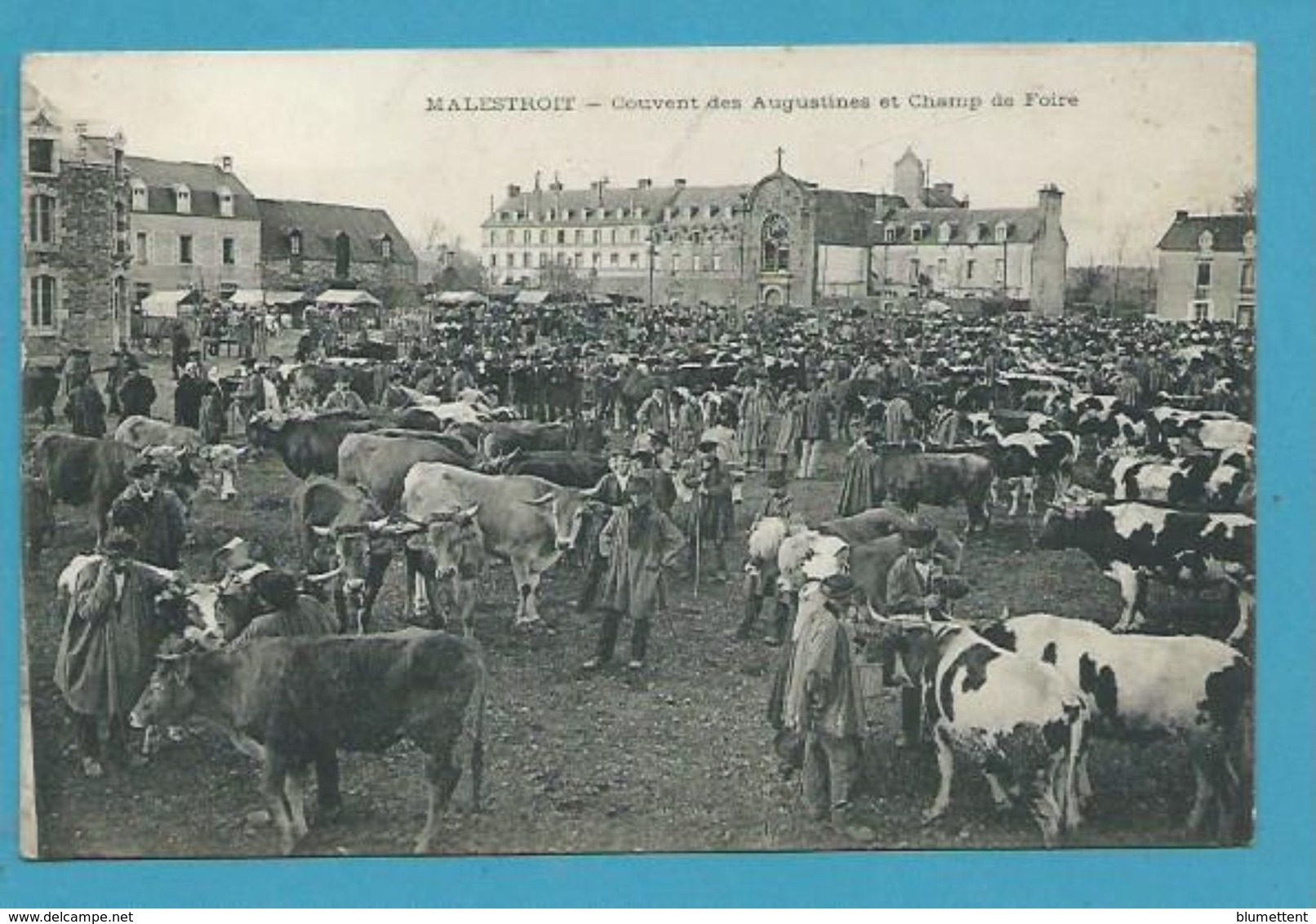 CPA - Marché Aux Bestiaux Maquignons Champ De Foire Couvent Des Augustines MALESTROIT 56 - Malestroit