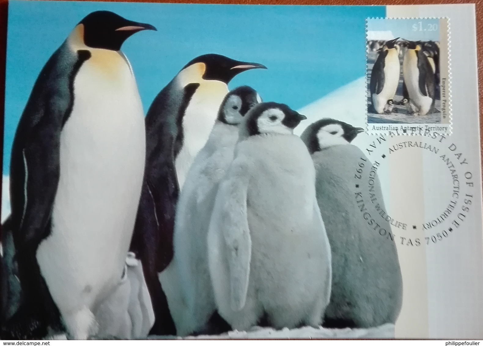 AAT  1992 ANTARCTIC REGIONAL WILDLIFE  - 4 Maximum Card - First Day Kingston Tas.14/05/1992 - Maximumkarten