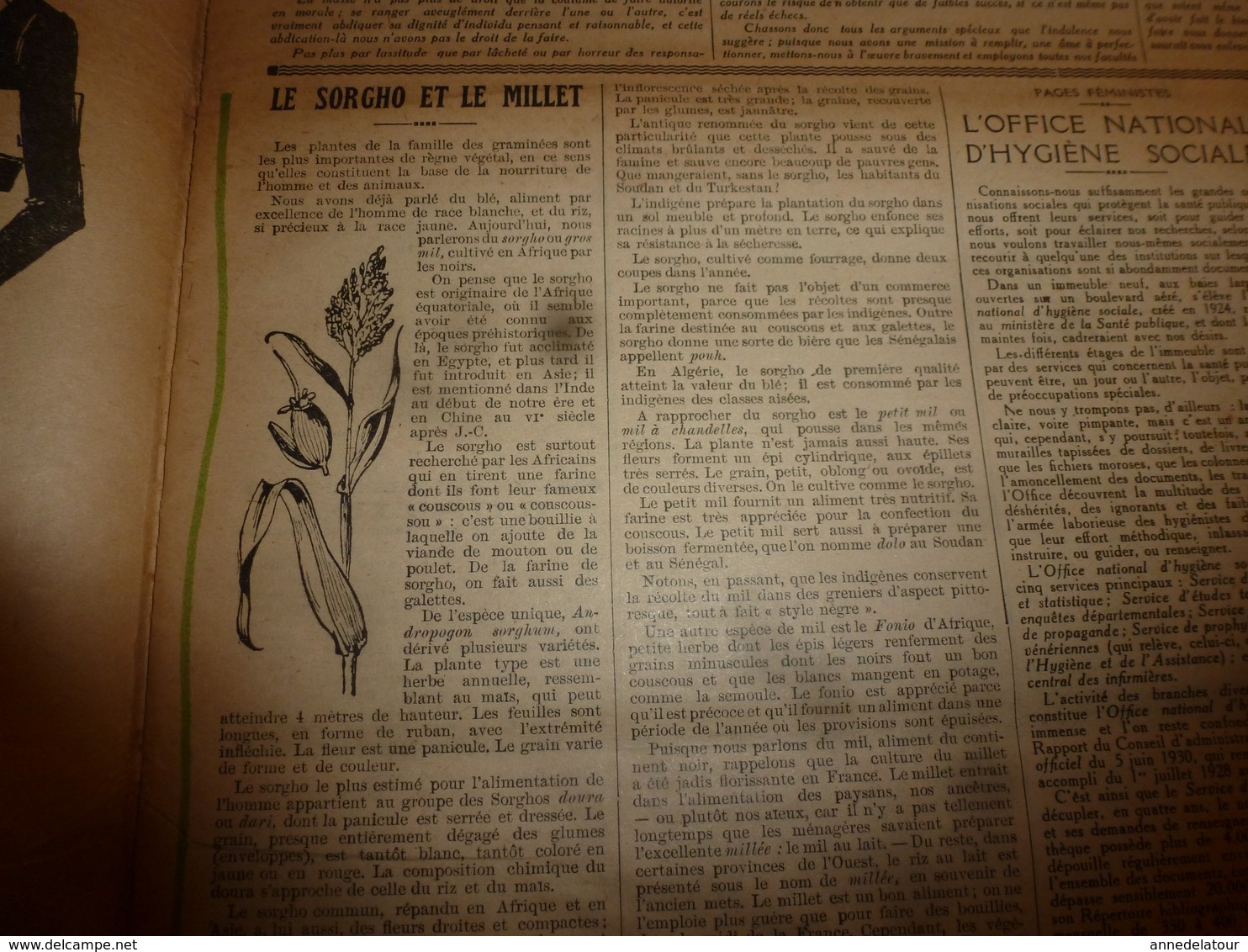 1931 LPEDLM  : Sorgho Et Millet (essentiels);La Fraude Des œufs Et Du Beurre;Carrés Brodés;Cravate Au Crochet;etc - 1900 - 1949