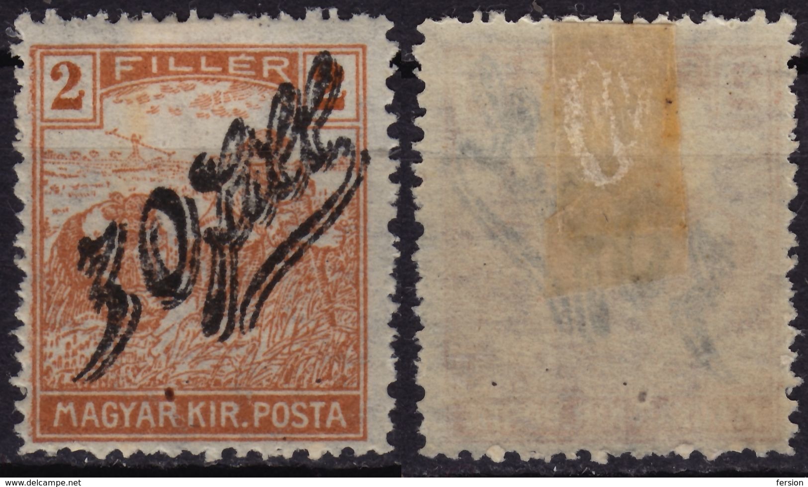 1919 Roman Occupation Temesvár Timisoara Transylvania - Hungary - HARVESTER Overprint - MH - 30/2 F - Transsylvanië