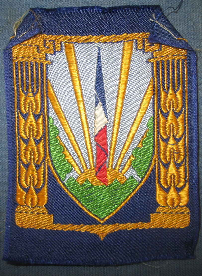 Insigne De Poitrine CJF-Chantiers De Jeunesse Vichy/Petain - 1939-45