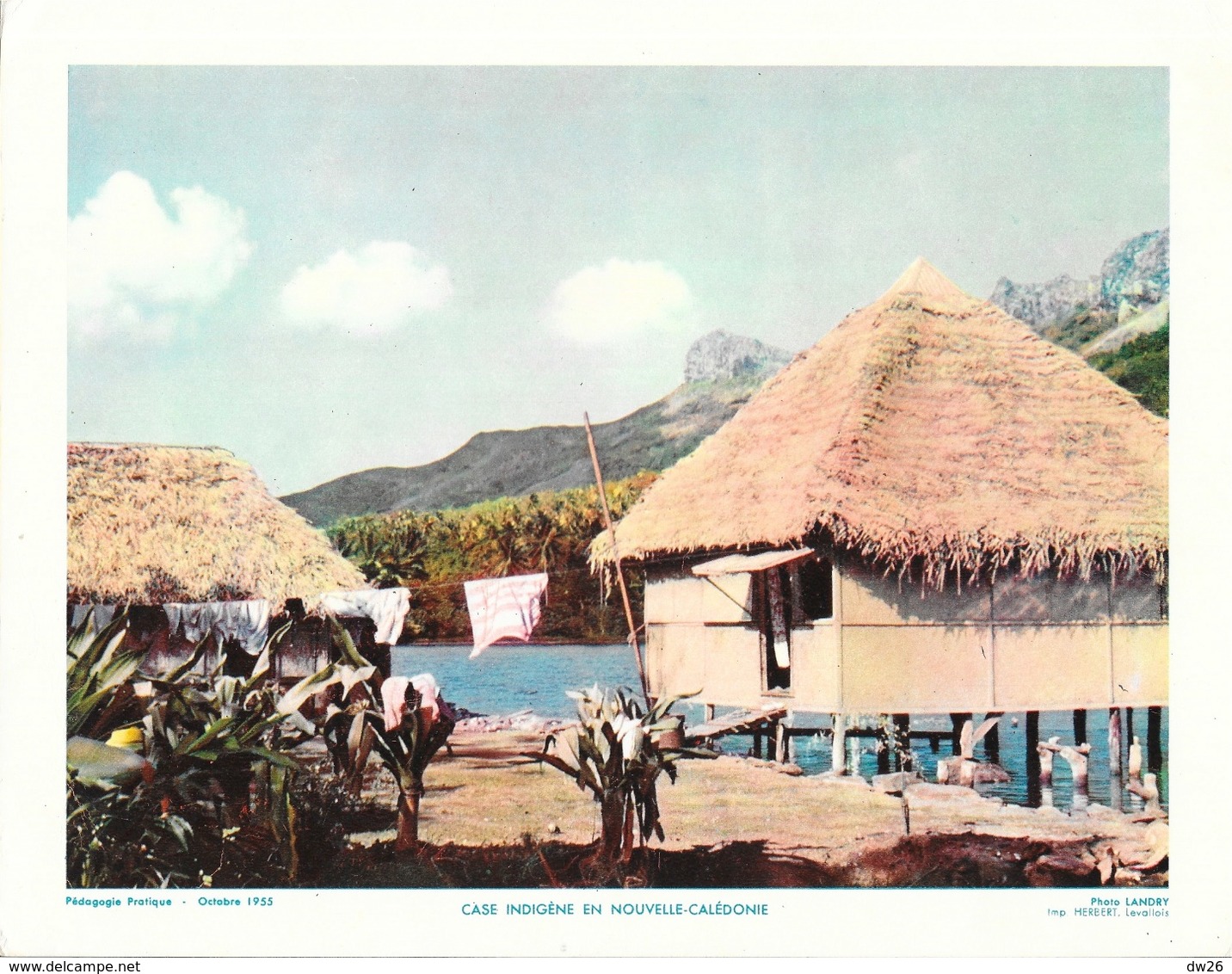 Photo Landry, Pédagogie Pratique 1955 - Nouvelle Calédonie: Case Indigène - Ethnics