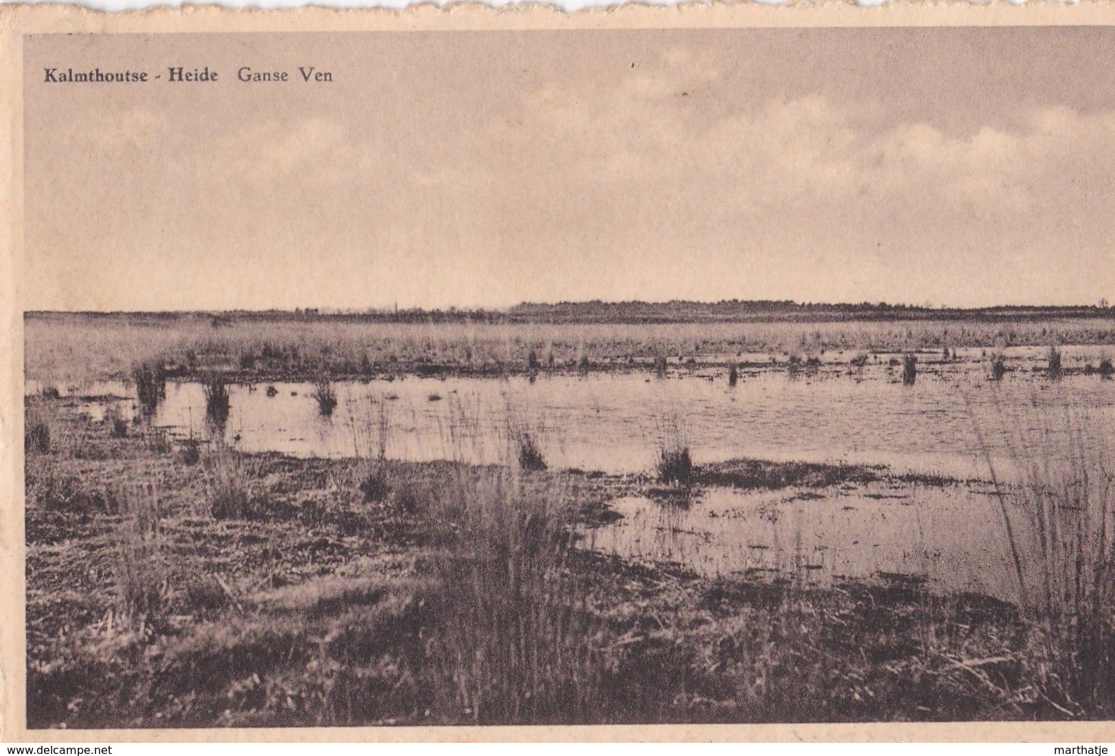 Kalmthoutse Heide - Ganse Ven - Kalmthout