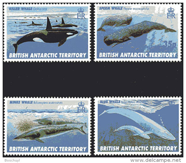 British Antarctic Territory, BAT, 1996, Whales, Animals, Fauna, MNH, Michel 250-253 - Autres & Non Classés