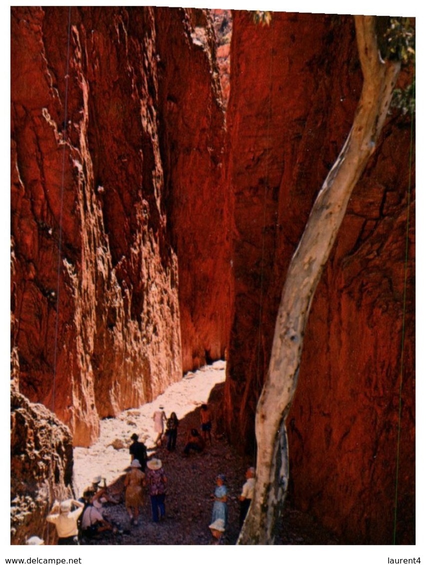 (44) Australia - NT - Standley Chasm - The Red Centre