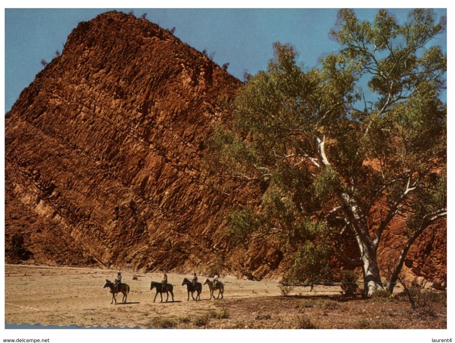 (44) Australia - NT - Bloomfield Bluff (with Horse) - Alice Springs