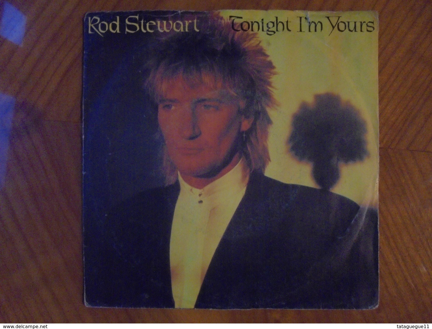 Disque Vinyle 45 T Rod Stewart Tonight I'm Yours 1981 - Rock