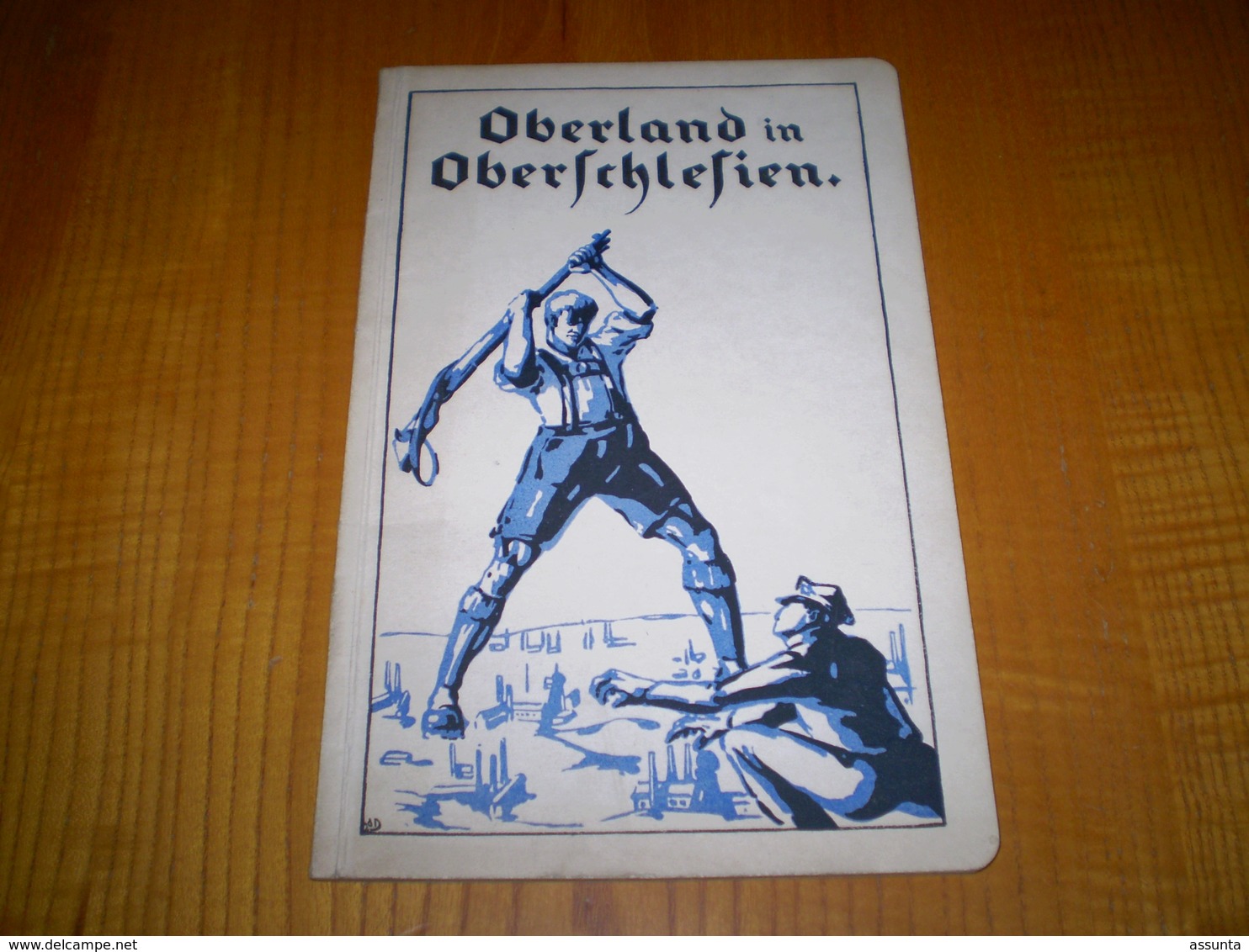 Oberland In Oberschlesien, Livre En Allemand, Oberland En Haute Silésie, Photos Pleines Pages Hors Texte - Livres Anciens