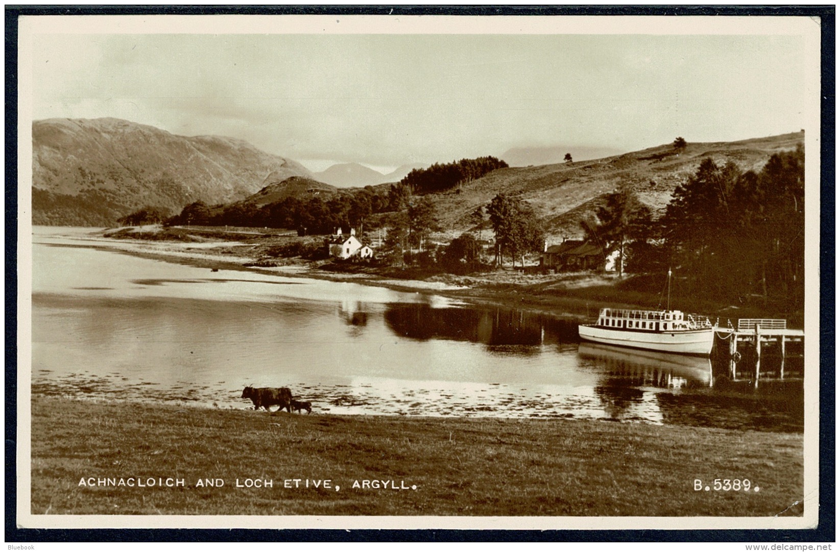 RB 1185 - Real Photo Postcard - Achnacloich &amp; Loch Etive - Argyllshire Scotland - Argyllshire