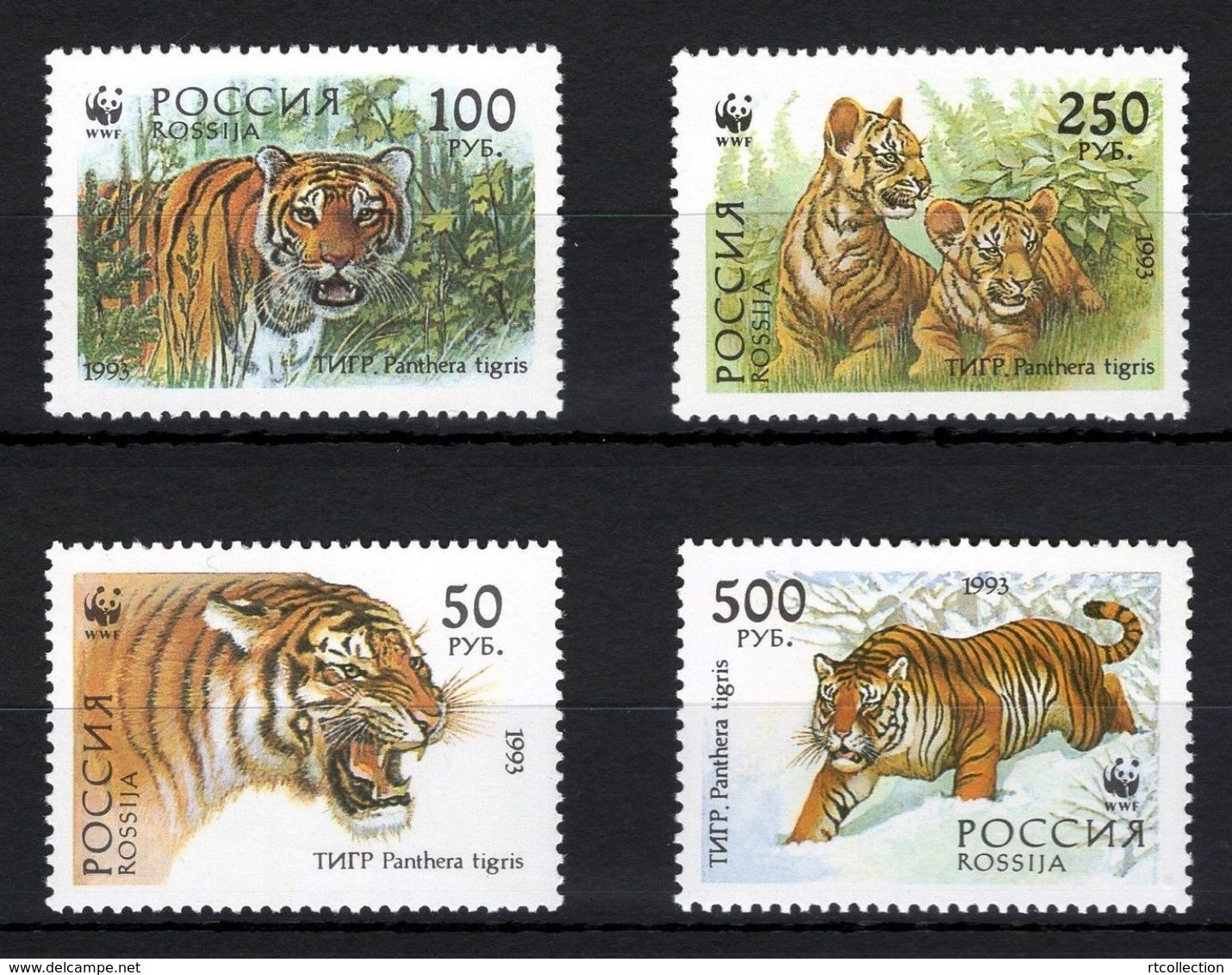 Russia 1993 WWF Siberian Tiger Animals Tigers Animal Panthera Fauna Mammals Big Cats Stamps MNH Mi 343-346 Sc 6178-6181 - Unused Stamps